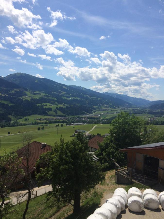 Appartement Döringerhof Aich  Buitenkant foto